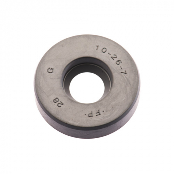 Rotax Simmering W-Pumpe 10*26*7mm